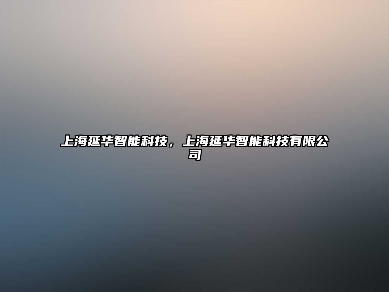 上海延華智能科技，上海延華智能科技有限公司
