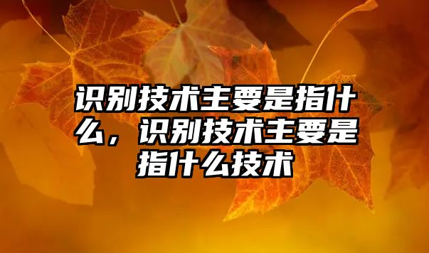 識(shí)別技術(shù)主要是指什么，識(shí)別技術(shù)主要是指什么技術(shù)